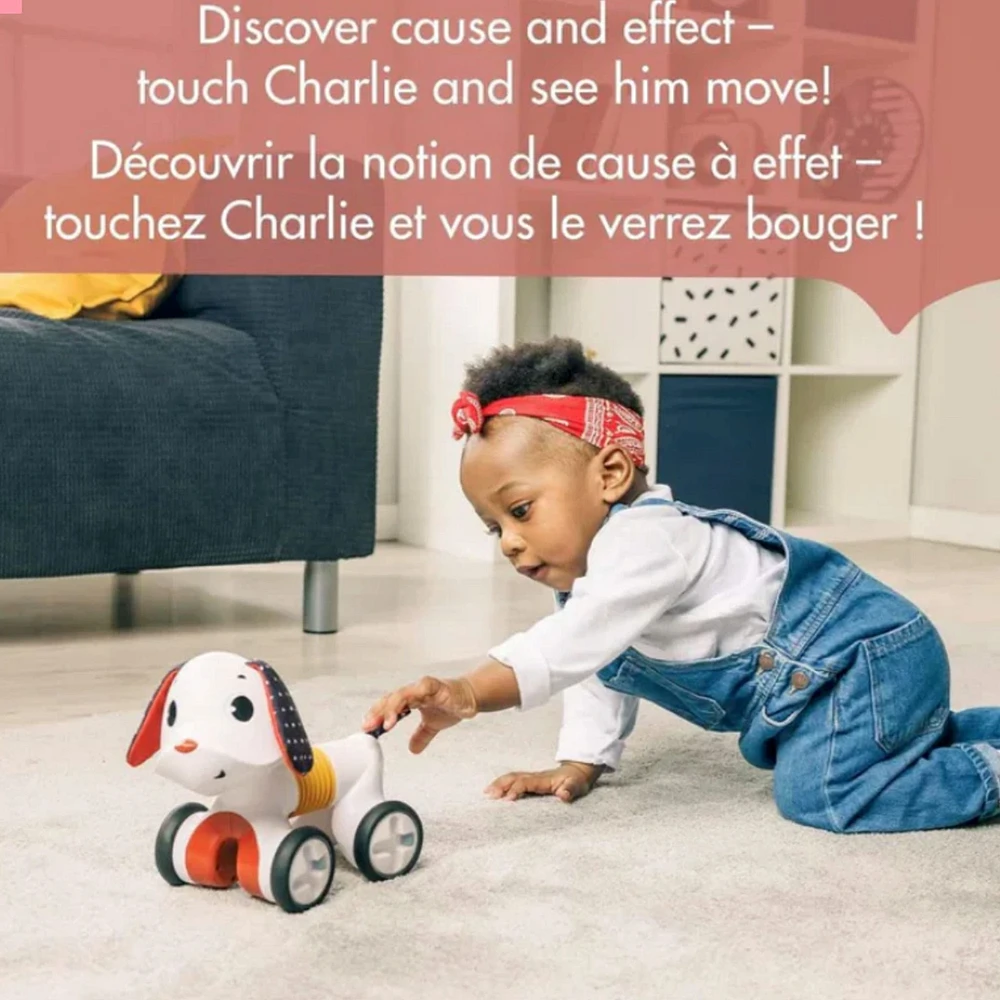 Chien Musical/Rotatif Tiny Rocker