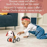 Chien Musical/Rotatif Tiny Rocker