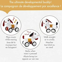 Chien Musical/Rotatif Tiny Rocker