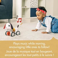 Chien Musical/Rotatif Tiny Rocker