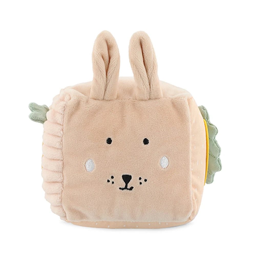 Activity Cube Mrs Rabbit