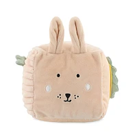 Activity Cube Mrs Rabbit