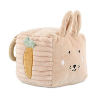 Activity Cube Mrs Rabbit