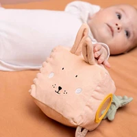 Activity Cube Mrs Rabbit