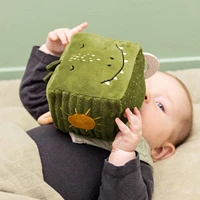 Activity Cube Mr Dino