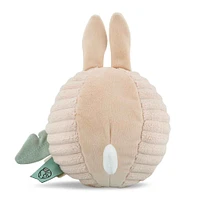 Balle Sonore Mlle Lapin