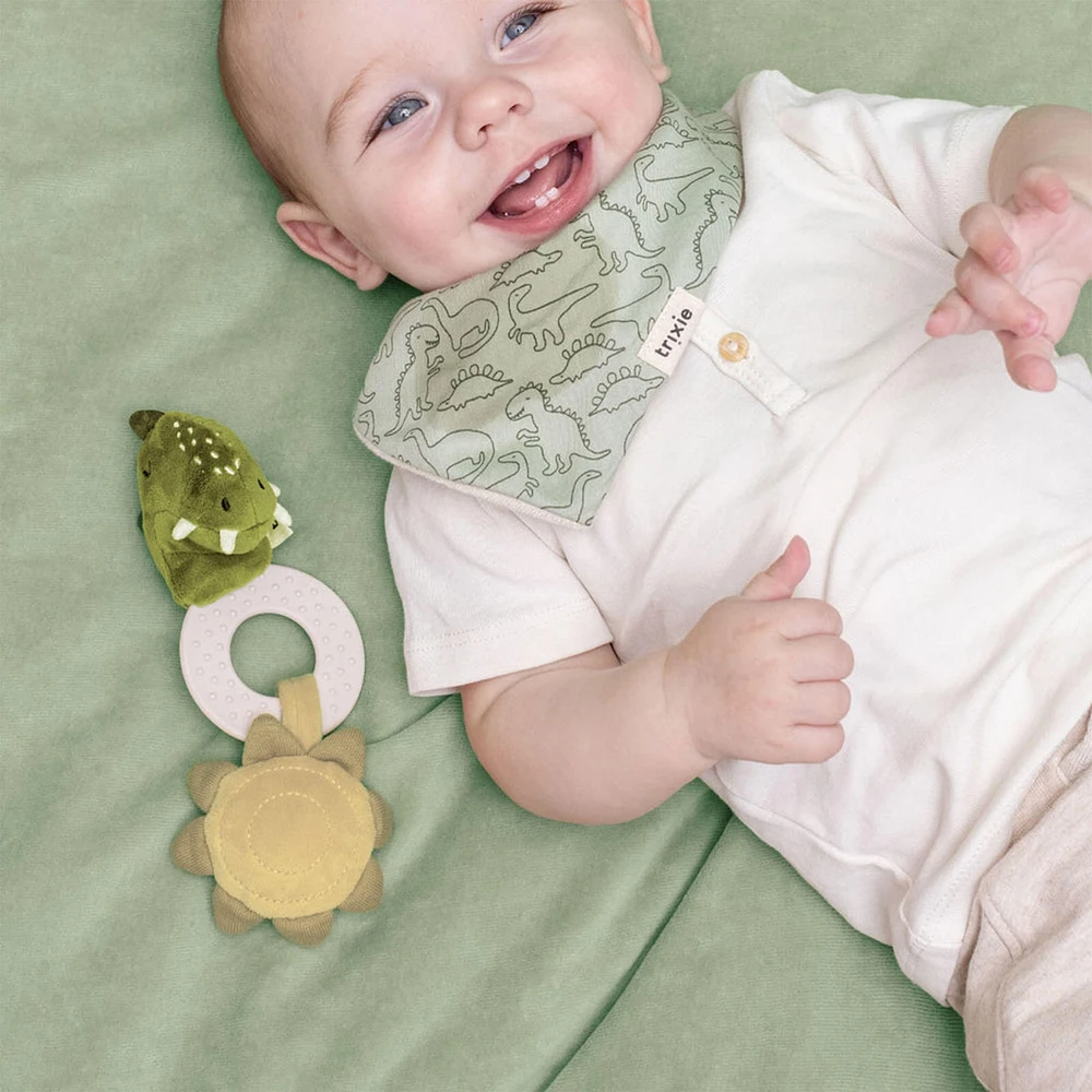 Teething Toy Mr Dino