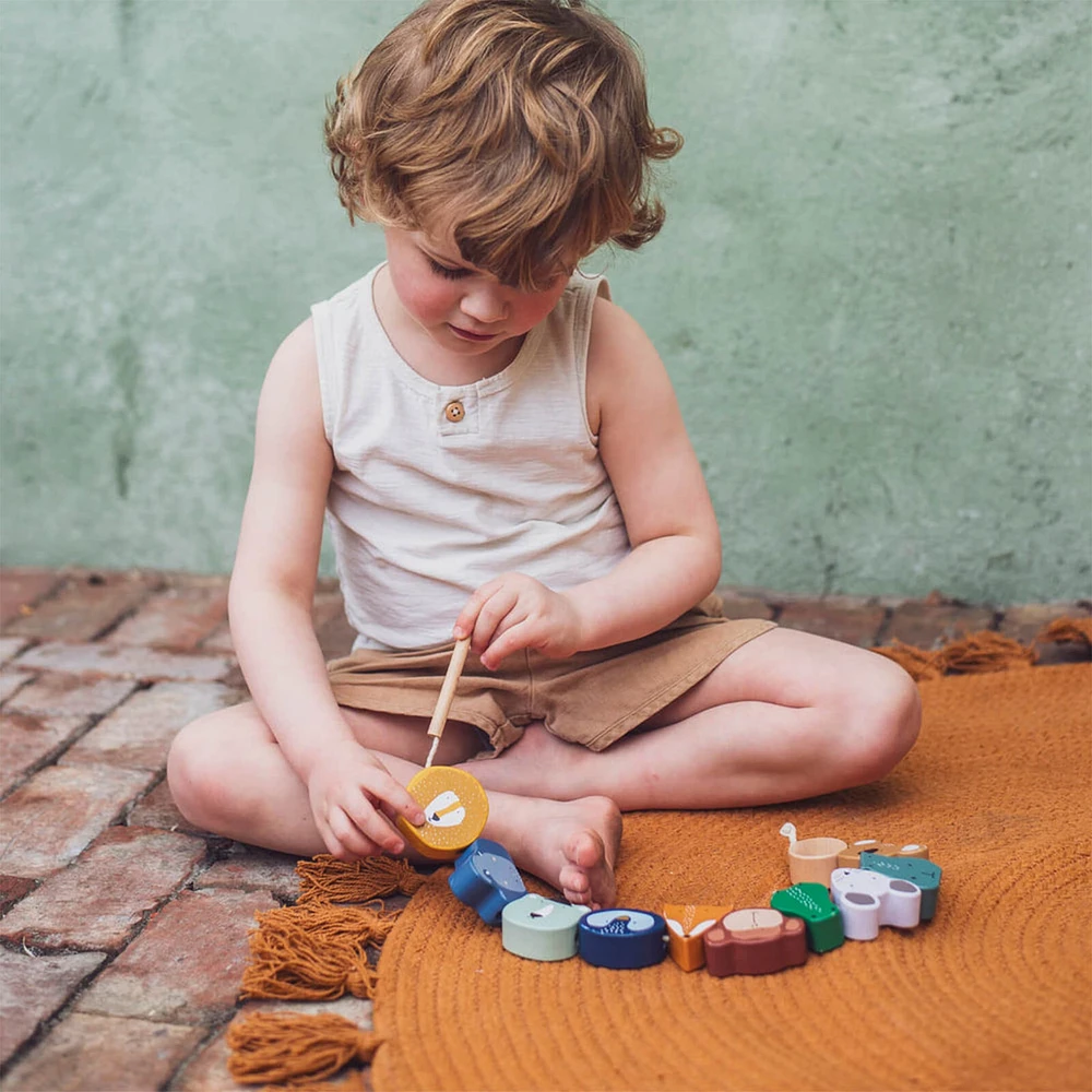 Wooden Animal Lacing Beads