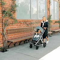 Vista V3 Stroller