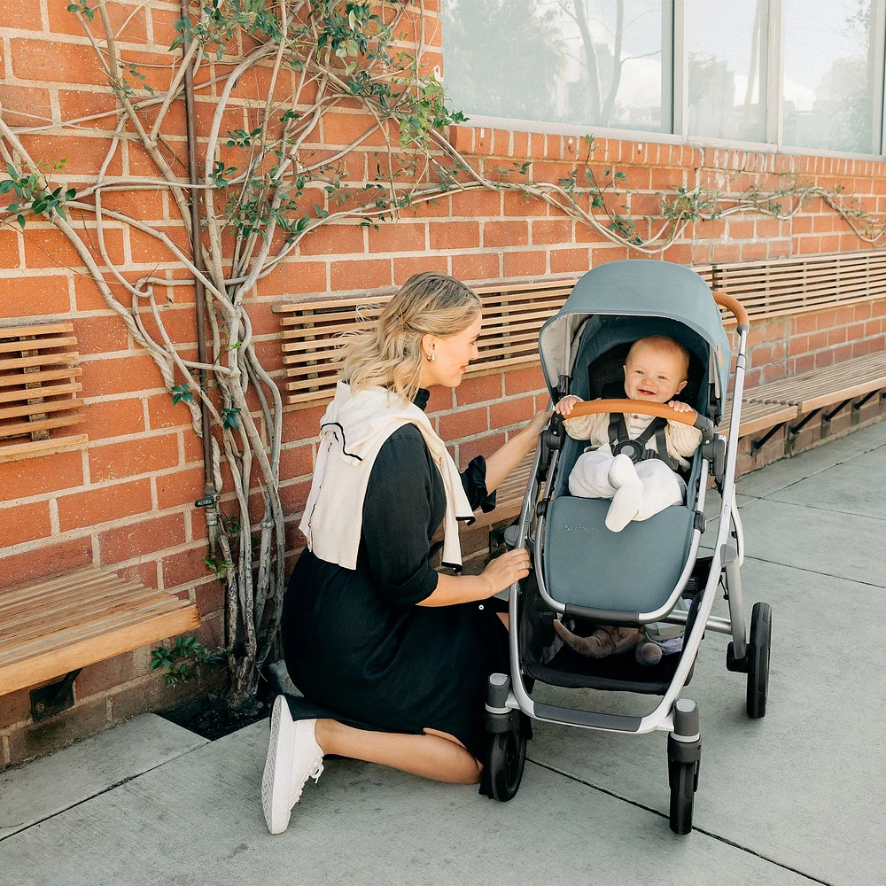 Vista V3 Stroller