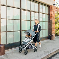Vista V3 Stroller
