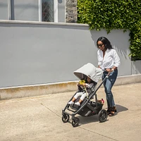 Cruz V2 Stroller