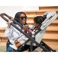 Cruz V2 Stroller