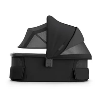 Landau Vista/Cruz V3