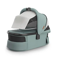 Landau Vista/Cruz V3 - Kenzi