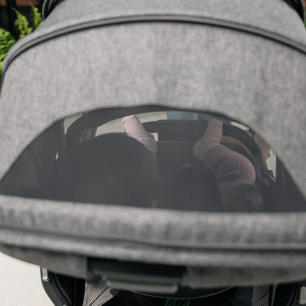 Vista V3 RumbleSeat