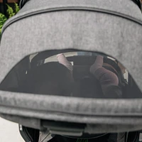 Vista V3 RumbleSeat