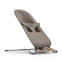 Mira 2 in 1 Bouncer and Seat - Wells