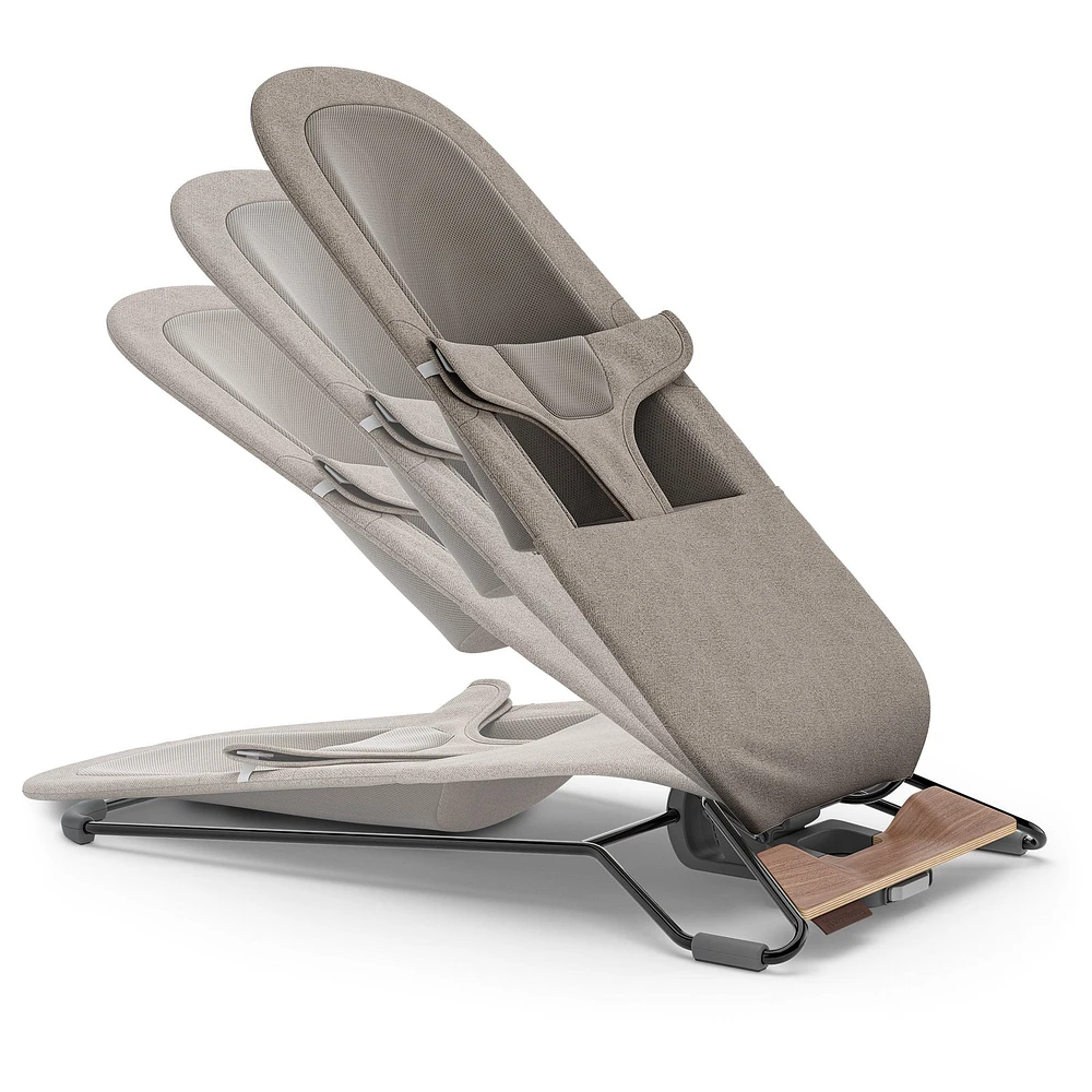 Mira 2 in 1 Bouncer and Seat - Wells