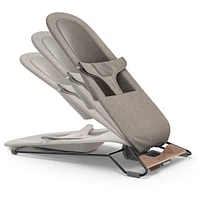 Mira 2 in 1 Bouncer and Seat - Wells