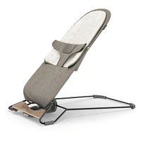 Mira 2 in 1 Bouncer and Seat - Wells