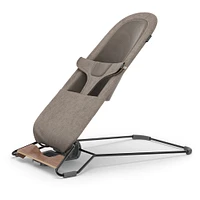 Mira 2 in 1 Bouncer and Seat - Wells
