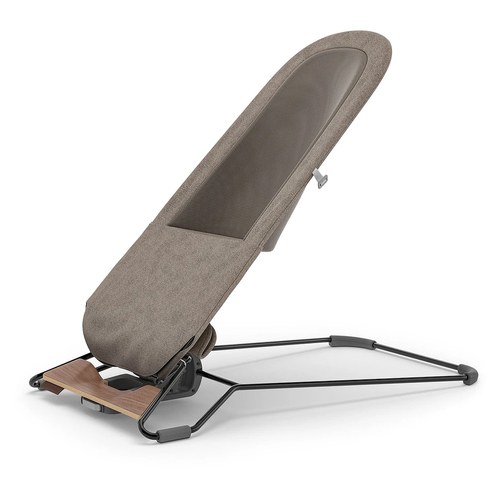 Mira 2 in 1 Bouncer and Seat - Wells