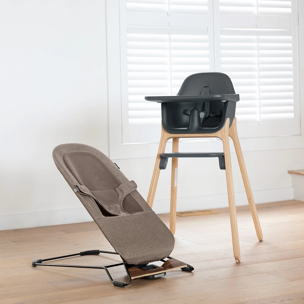 Mira 2 in 1 Bouncer and Seat - Wells
