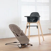 Mira 2 in 1 Bouncer and Seat - Wells