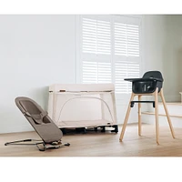 Mira 2 in 1 Bouncer and Seat - Wells