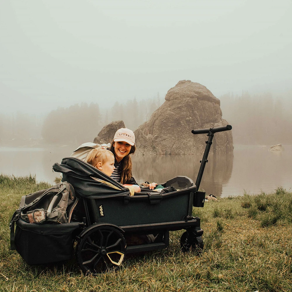 Toit Rectractable pour Chariot Veer