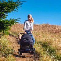 Toit Rectractable pour Chariot Veer