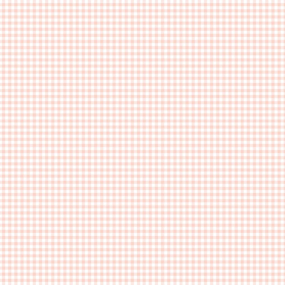 Petite Couverture Minky