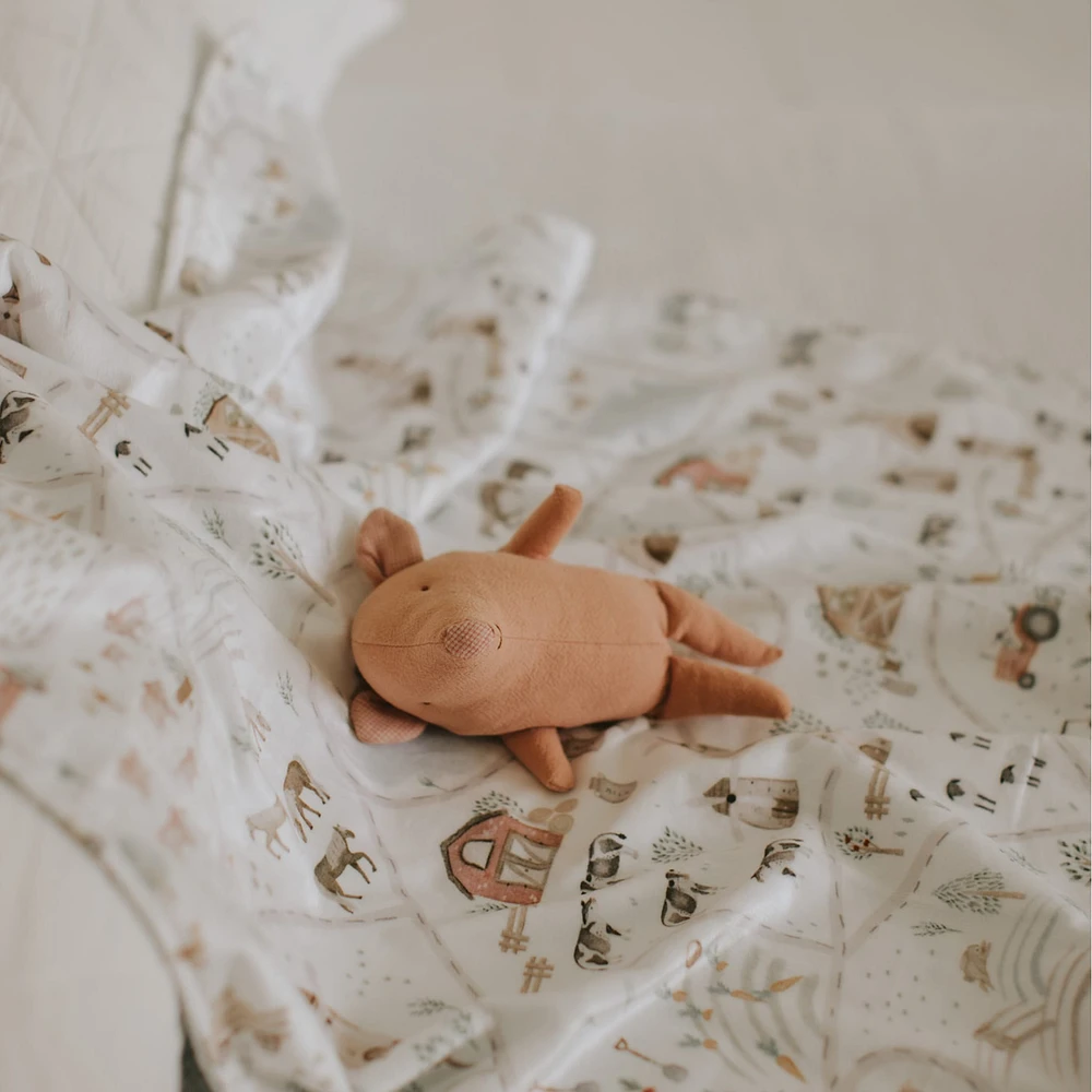 Minky Little Blanket - Gédéon's Farm