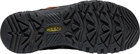 M Targhee IV WP Bison