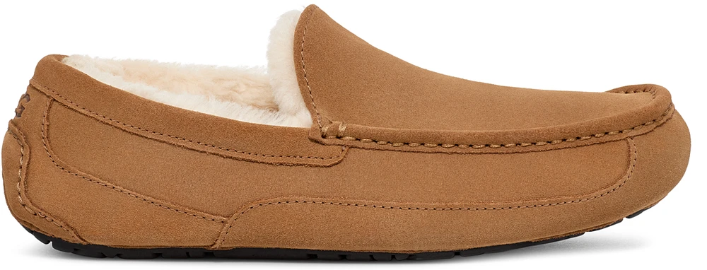 Ascot Chestnut