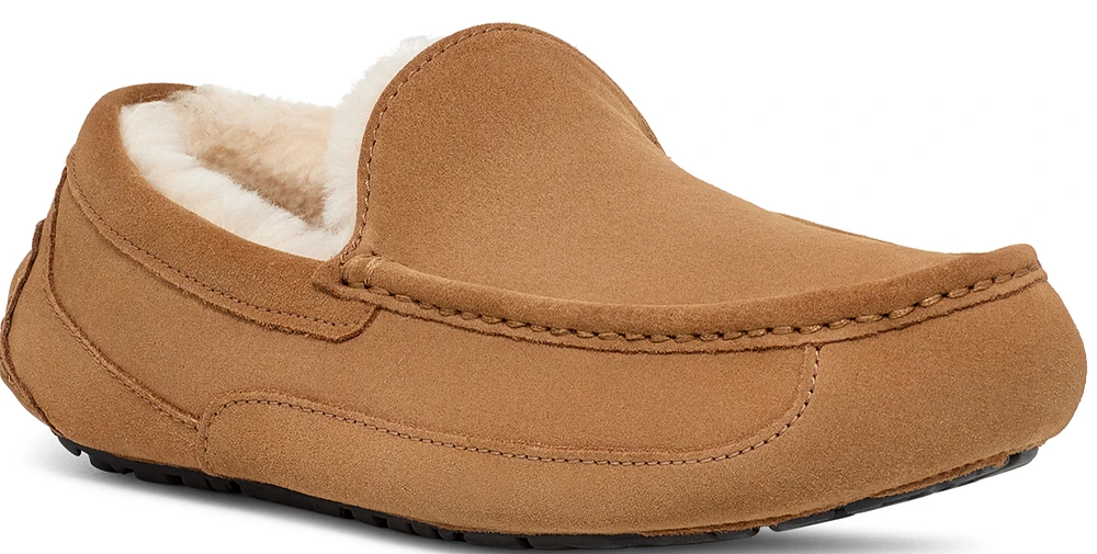 Ascot Chestnut