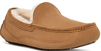 Ascot Chestnut