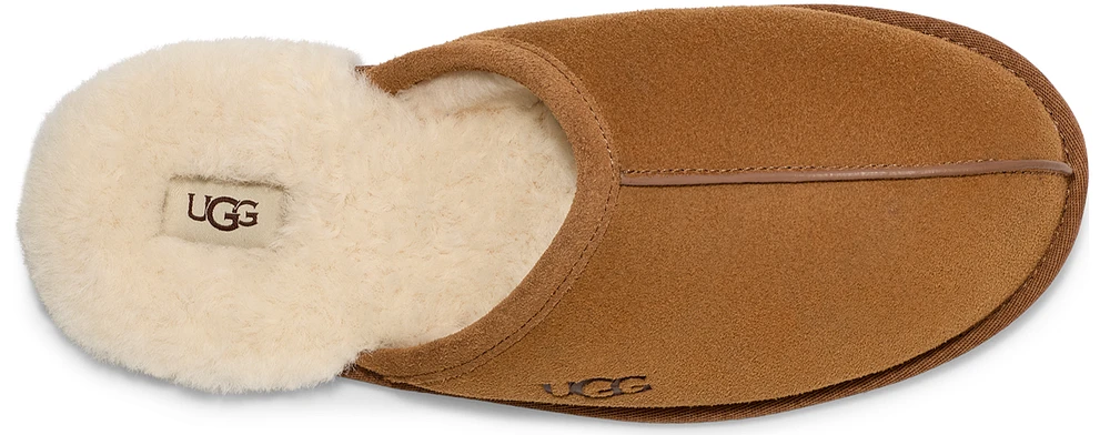 Scuff Chestnut