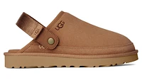 M Goldencoast Chestnut