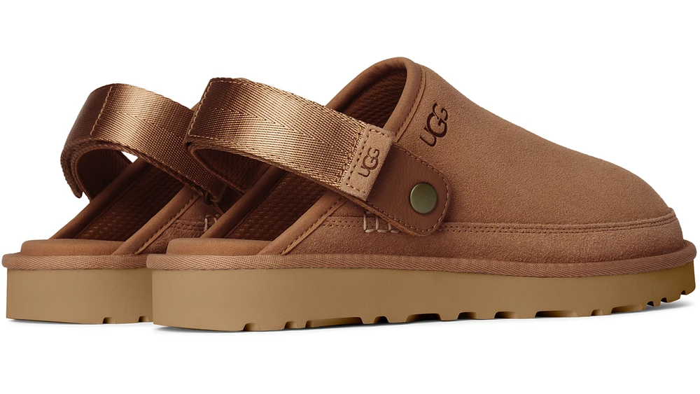 M Goldencoast Chestnut