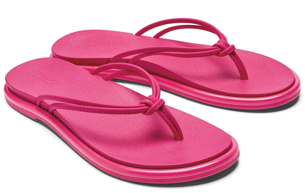Aka Pink Plumeria /