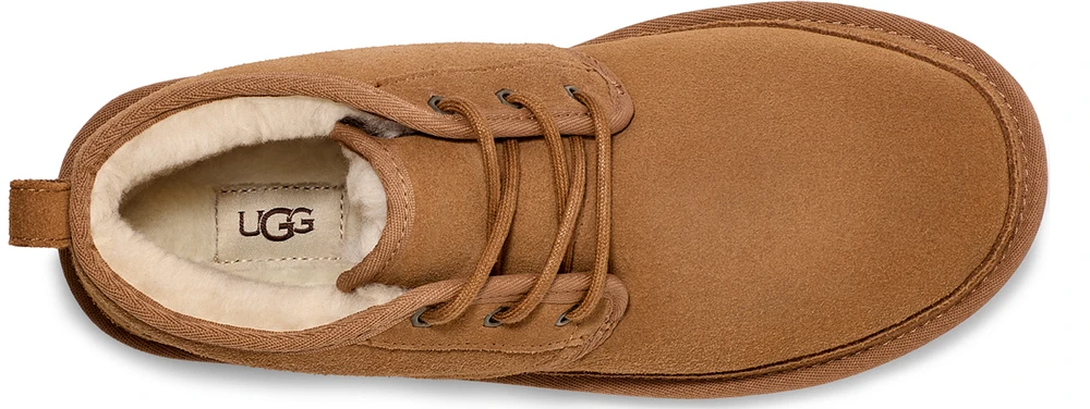 Neumel Chestnut
