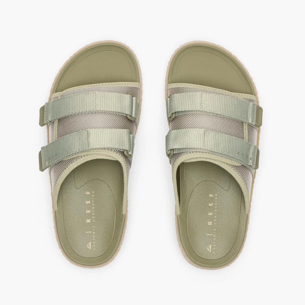 Montauk Green