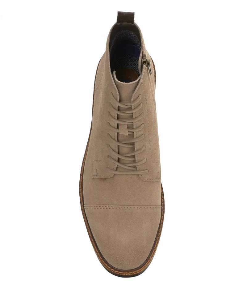 Ferko-truffle DK Brown - Toledo Sue We