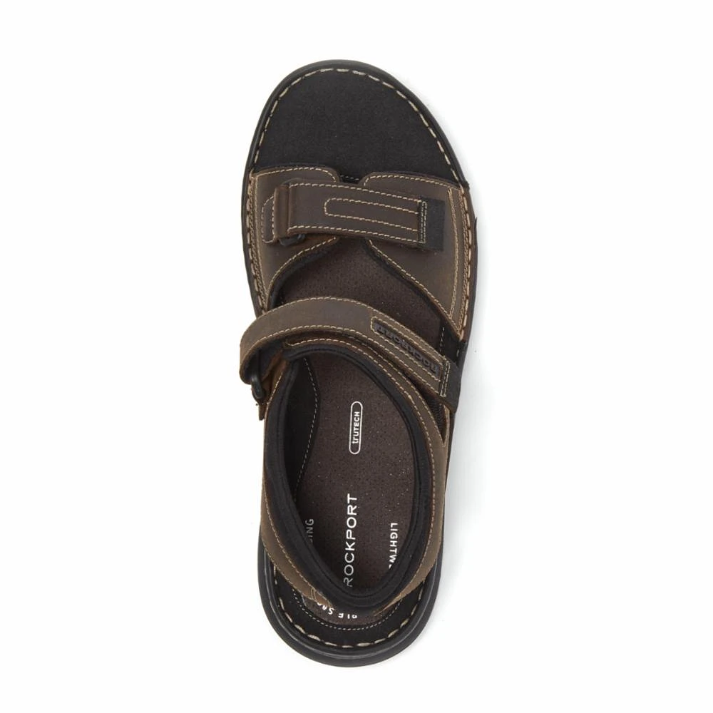 Darwyn QTR Strap Brown Wide