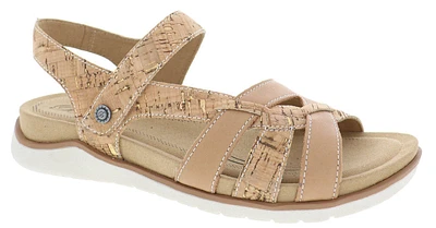Meadow Cork Multi