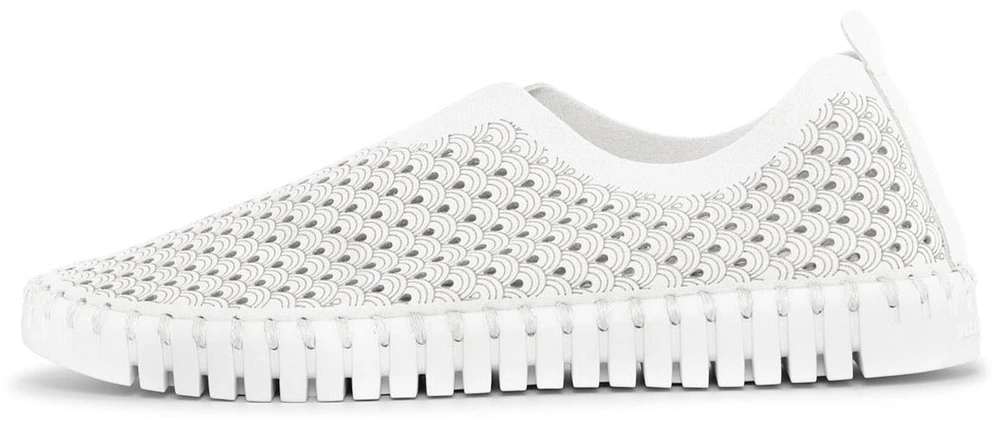 Tulip139 White