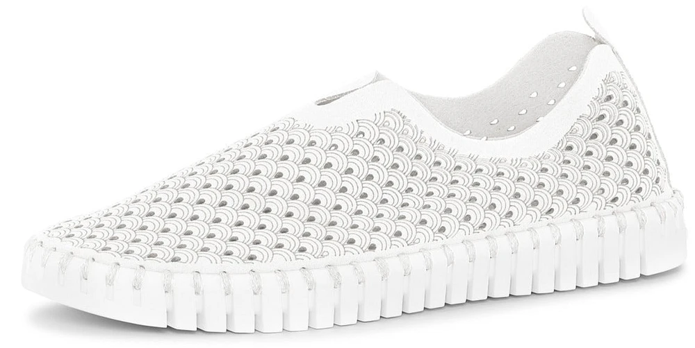 Tulip139 White