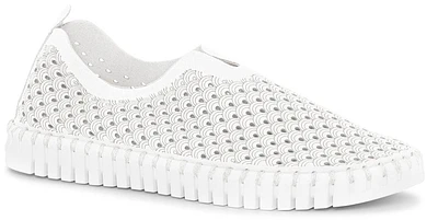 Tulip139 White